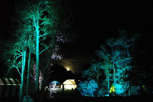 site beautification lighting Ellerslie International Flower Show. Blue floodlit trees and a full moon rising